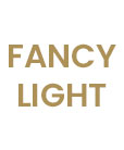 FANCY LIGHT