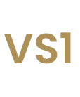 VS1